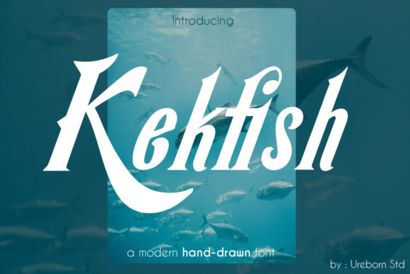 Kekfish: A Bold, Curvy Display Font for Handmade Creators