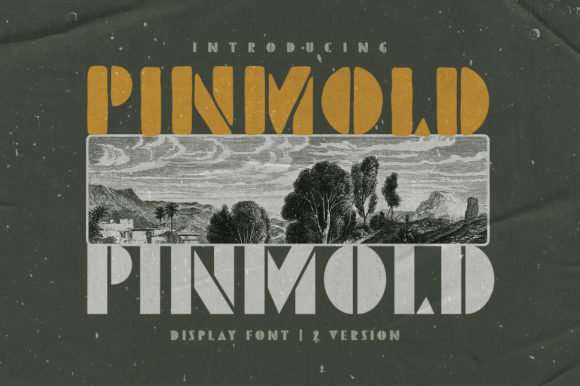 Pinmold: A Bold, Vintage Display Font for Handmade Brands
