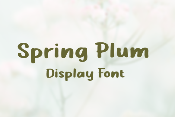Spring Plum: A Display Font That Elevates Your Brand